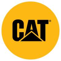 Cat Lifestyle