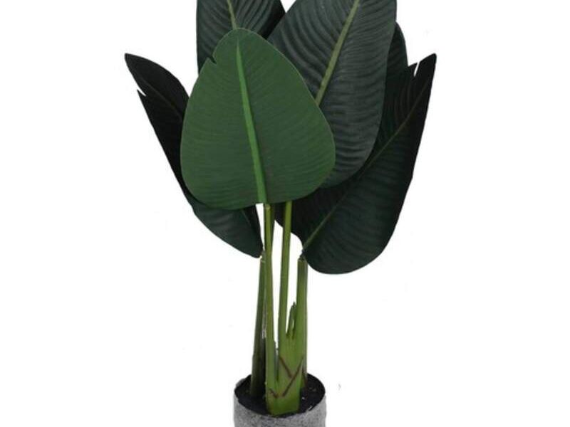 Planta artificial CONSTRUFREUND El salvador 