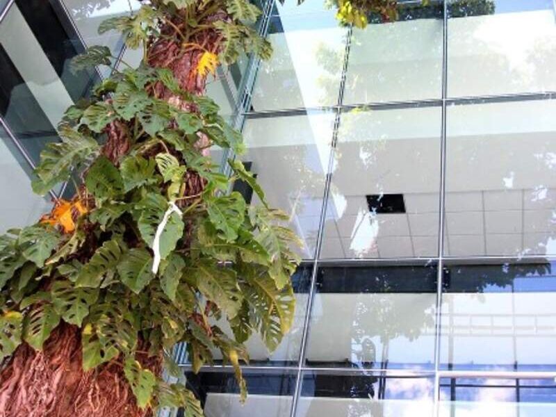 Fachada de vidrio templado en San Salvador