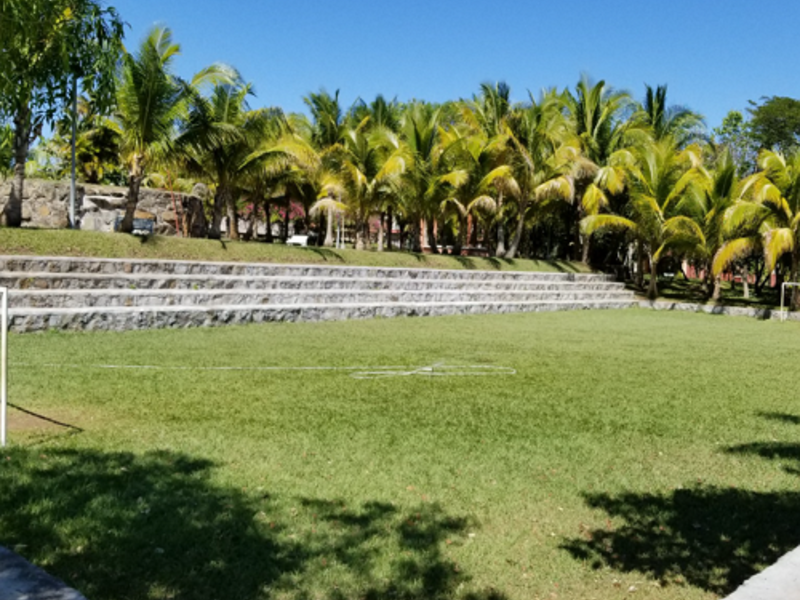 Terreno Palmeras
