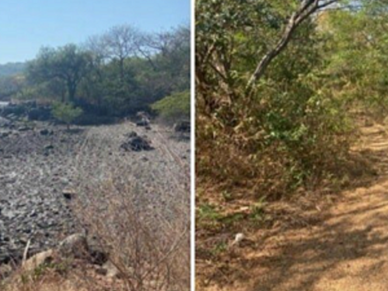 Terreno Golfo Fonseca
