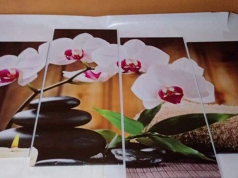 Cuadro Rosas El Salvador