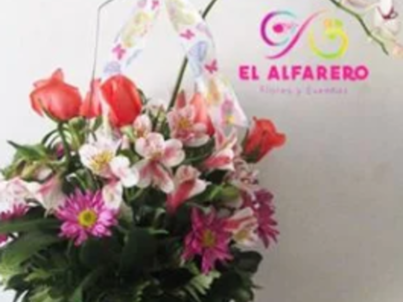 Orquídea 4 San Salvador