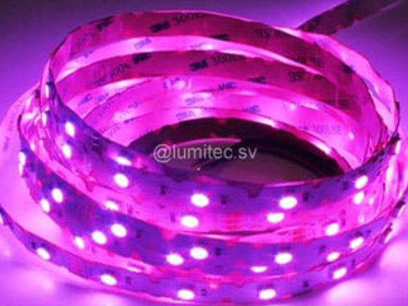 TIRA LED FLEXI FUCSIA Lumitec El Salvador