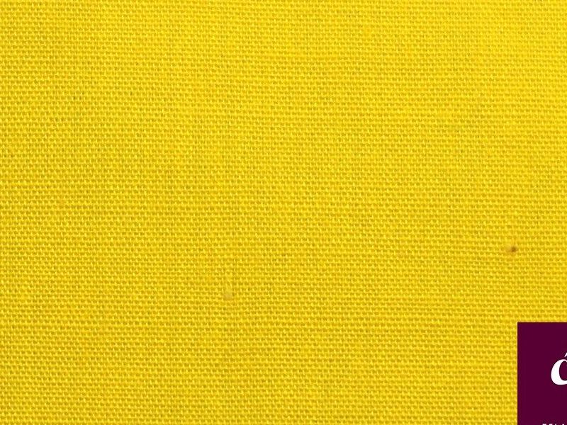 DRACÓN LISO AMARILLO SAN SALVADOR