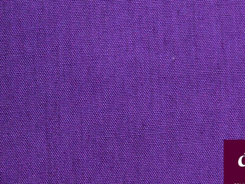 DRACÓN LISO VIOLETA SAN SALVADOR
