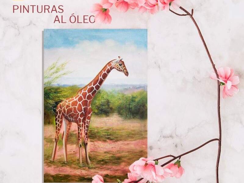 Pinturas decorativas Enmarka El Salvador