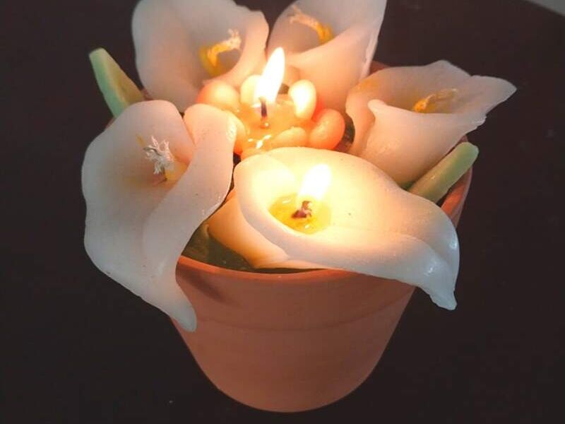 Velas Decorativas Maceta Santo Tomás