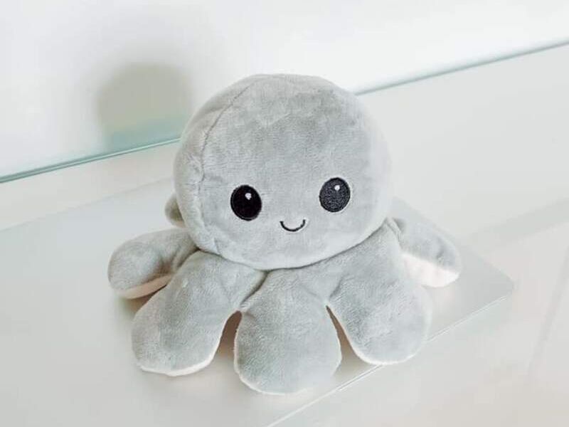 Peluche Pulpo Santa Ana