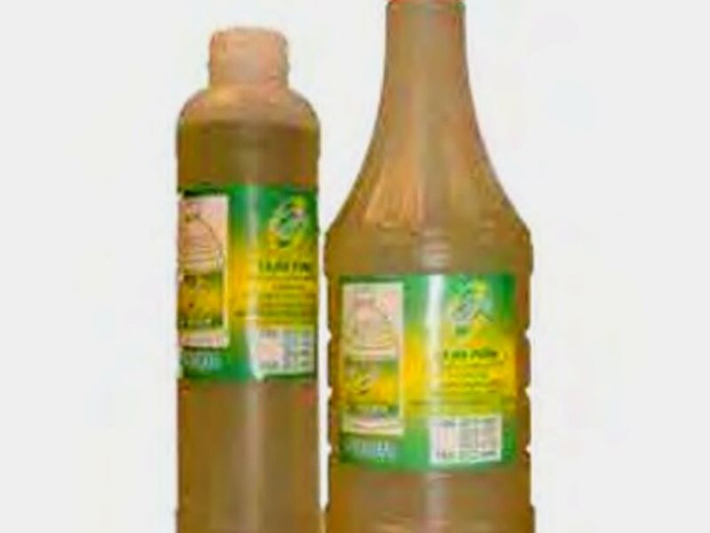 LEJIA El Salvador