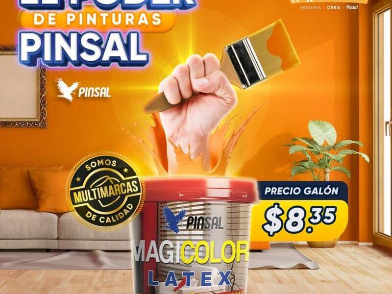 Pinturas Pinsal Paint Center Camel SV