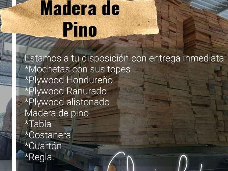 Madera de pino El Pinabete SV