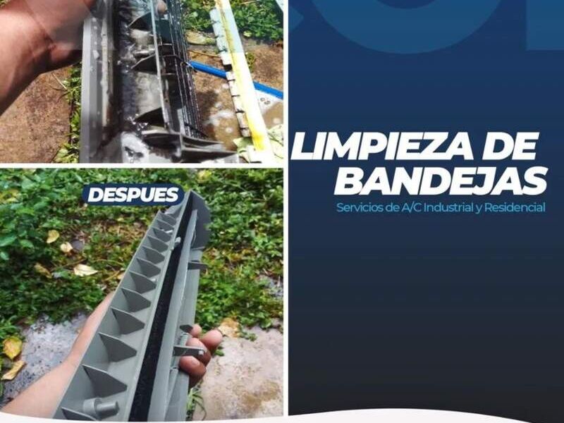 Limpieza Bandejas Salvador