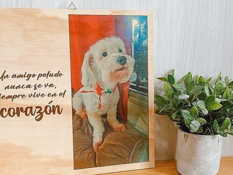 Decoracion Perro San Salvador