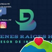 HV Bienes y Raices