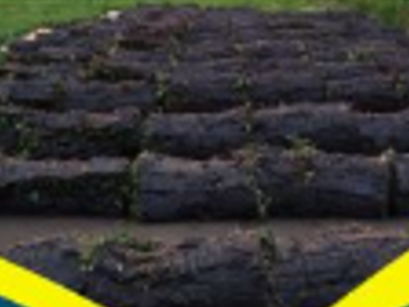 TerraCarpet Solutions San Agustín