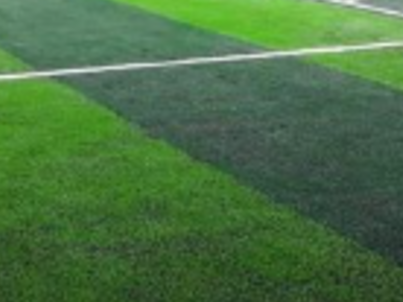EcoTurf Harmony San Agustín